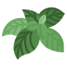 Profile picture of Basil