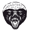 Profile picture of Mimir Advisory