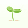 תמונת פרופיל של Kaluroos Linnaeus