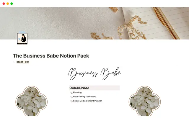 The Business Babe Notion Pack